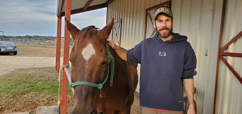 Equine and Canine Chiropractic